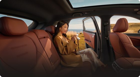 ARCFOX T5 rear seats