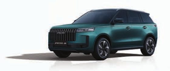 J5 in Eucalyptus Green